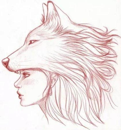 Девушка и волк для срисовки