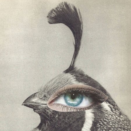 Два глаза гравюра