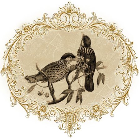 Птицы в винтажном стиле