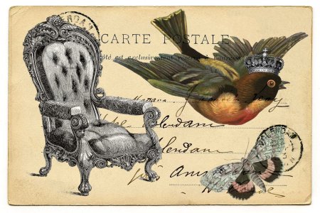 Винтажные птицы для декупажа