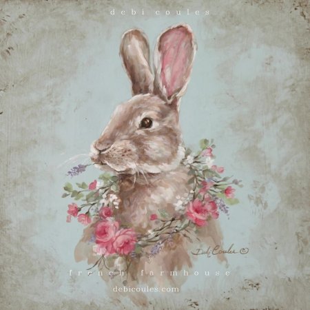 Деби Коул (Debi coules)