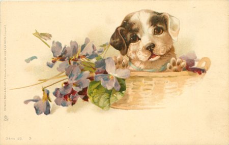 Собачки для декупажа