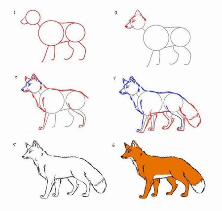 Последовательность рисования животных