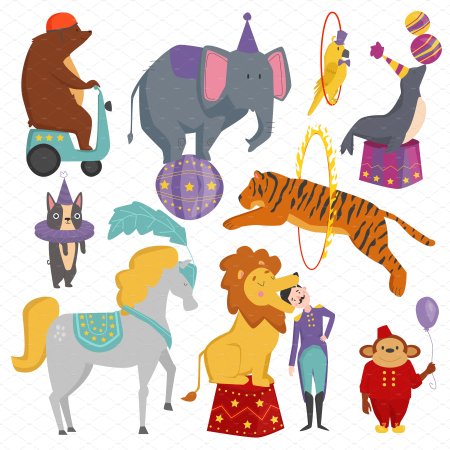 Цирковые животные для детей