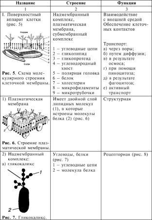 Поверхностный аппарат биологическая мембрана схема клетка