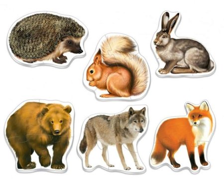 Лиса, волк, заяц, ёж, медведь, белка