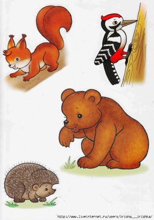 Лесные животные для малышей