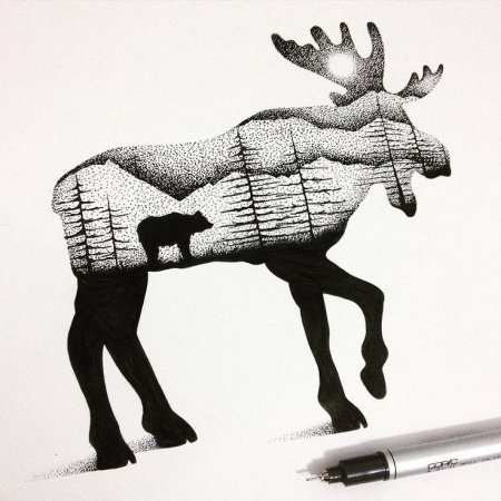 Необычные силуэты животных