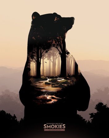 Медведь двойная экспозиция