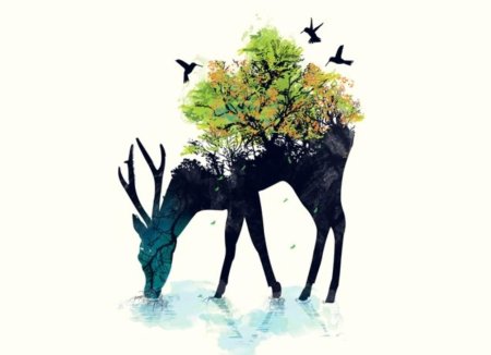 Минимализм в живописи животные