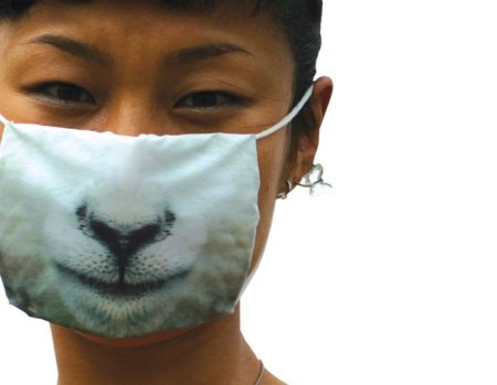 Животное в маске для лица