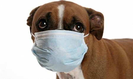 Детские маски медицинские многоразовые