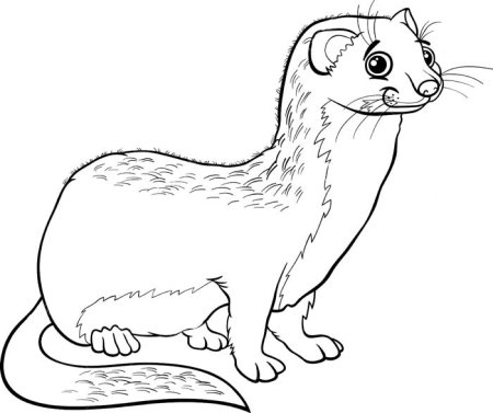 Норка раскраска для детей