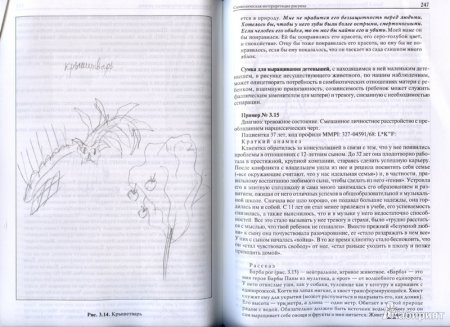 Протокол к методике несуществующее животное