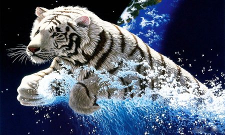 2022 Год черного водяного тигра