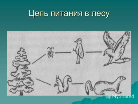 Схема цепи питания