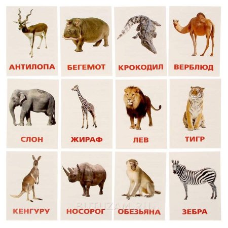 Карточки "Дикие животные"