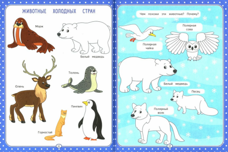 Животные севера для детей