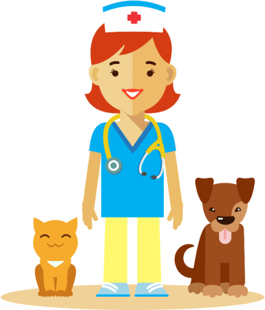 Профессия ветеринар