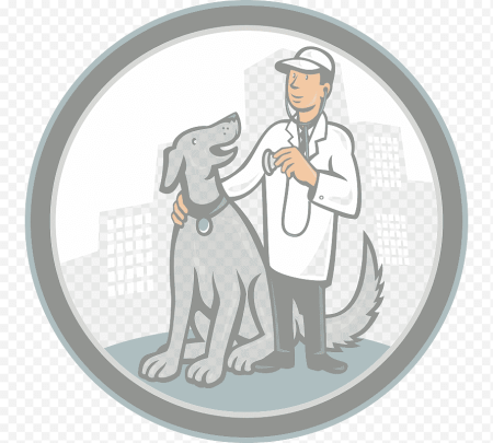 Рисунки ветеринара с животными для детей