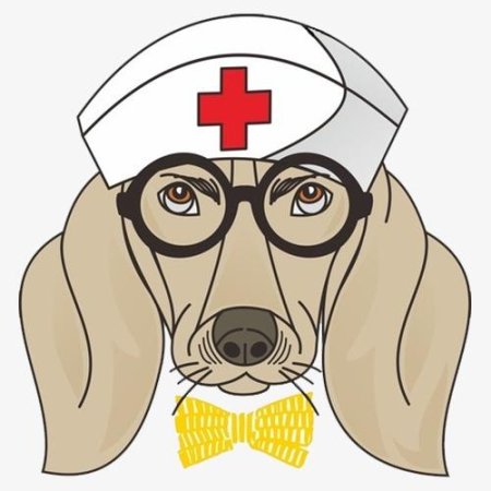 Профессия ветеринар раскраска