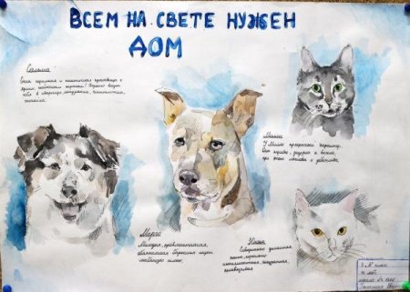 Плакаты в защиту бездомных животных