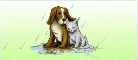 Рисунки бездомных животных