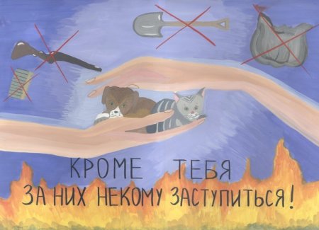 Бездомные животные мерзнут