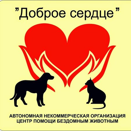 Покормите в холода бездомных животных