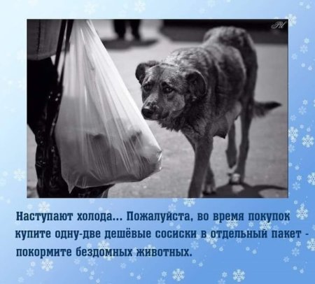 Серия сюжетных картин «как помочь птицам?»