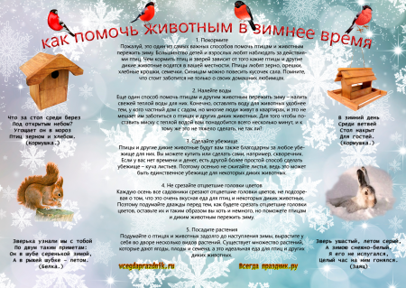 Акция помощи животным