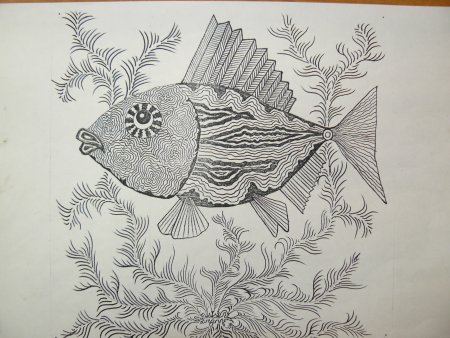 Графическая композиция рыбы