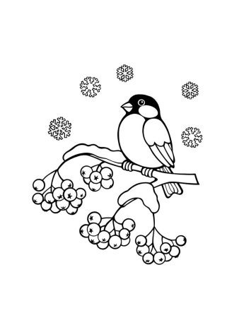 Снегирь раскраска