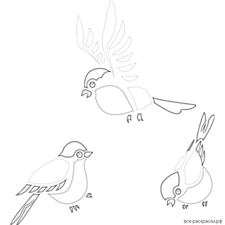 Снегирь рисунок