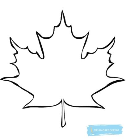 Контур листьев клена