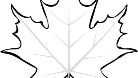 Кленовые листочки трафарет
