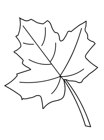Кленовый листик раскраска