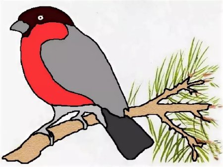 Снегирь шаблон