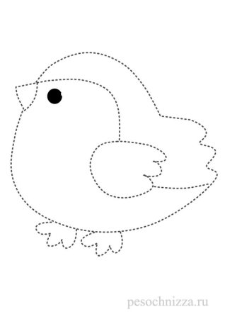 Обвести птицу по контуру