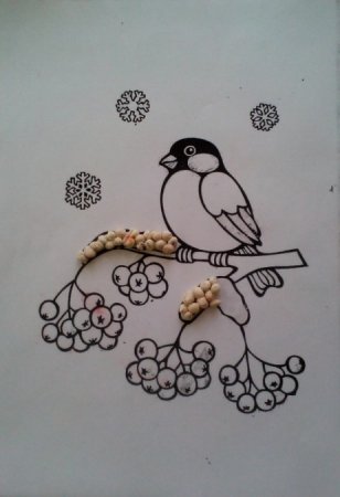 Снегирь на ветке раскраска