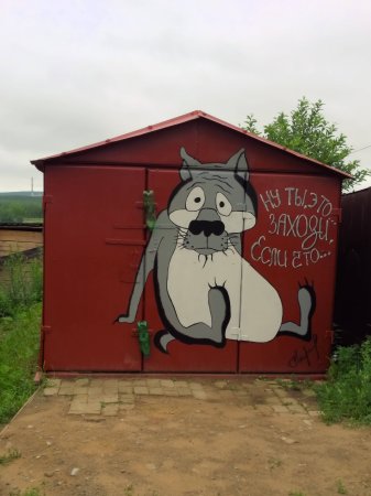 Раскрашенные ворота гаража