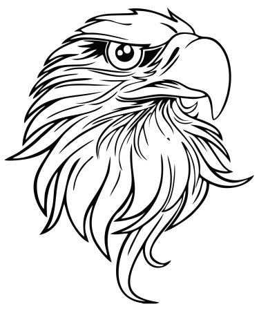 Эскиз голова орла сбоку