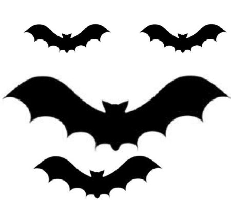 Летучие мыши на Хэллоуин