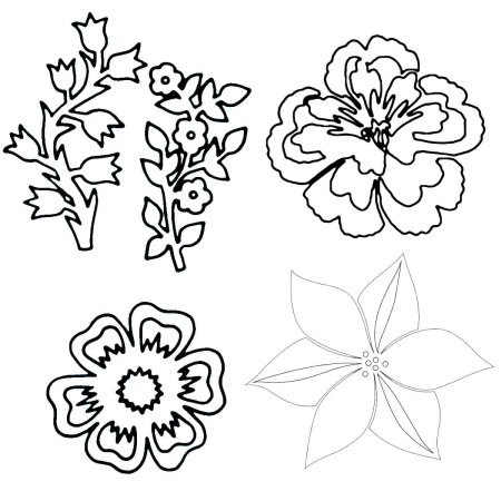 Цветы эскизы шаблоны для вырезания из бумаги