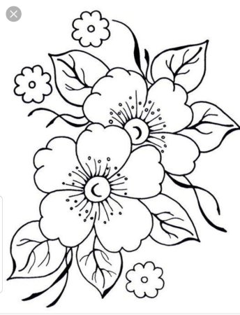 Рисунки цветов