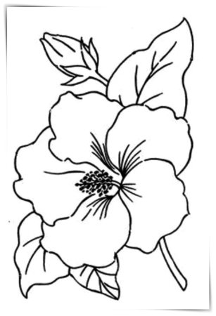 Контуры цветов для рисования