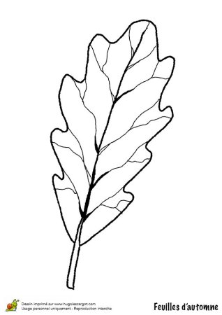 Рисование на листьях дуба