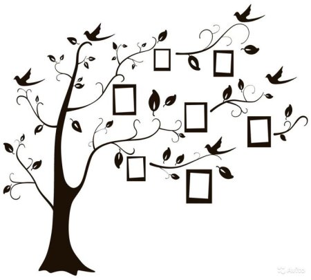 Эскиз семейного древа