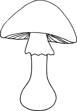 Грибы раскраска для детей