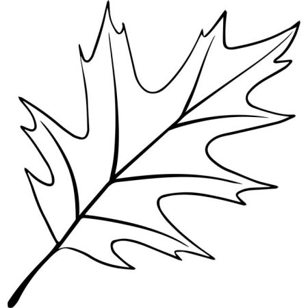 Форма кленового листа